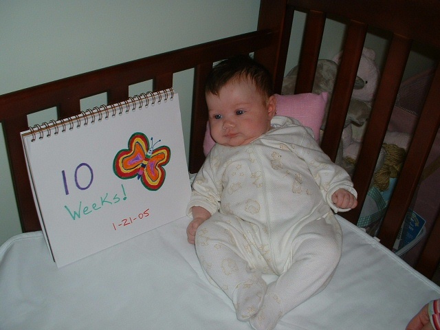 10 weeks