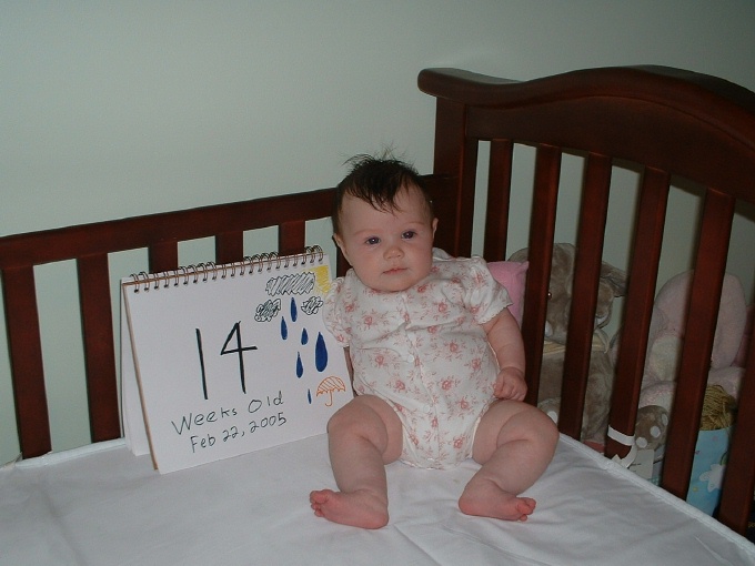 14 weeks