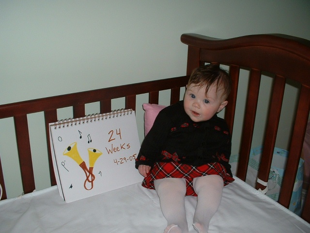 24 weeks