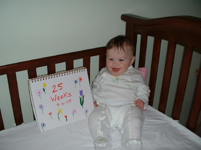 25 weeks