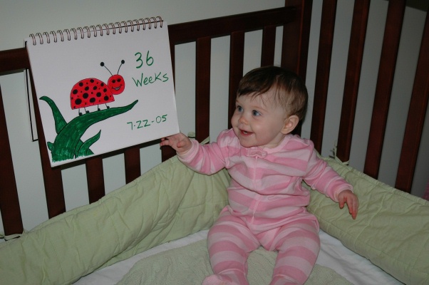 36 weeks