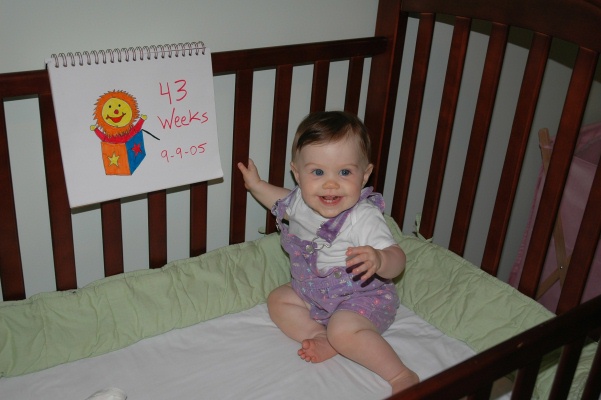 43 weeks