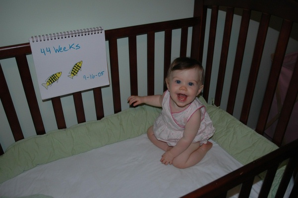 44 weeks