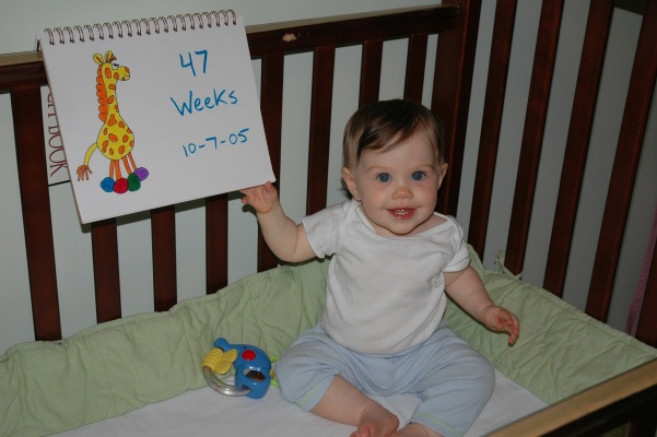47 weeks