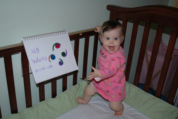 48 weeks