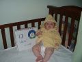 17 weeks